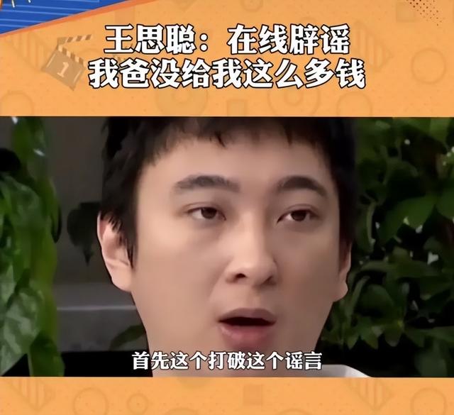 王健林王思聪一起捧的明星（首富王健林之子王思聪）(14)