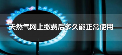 ​天然气网上缴费后多久能正常使用（天然气网上缴费完可以马上使用吗）