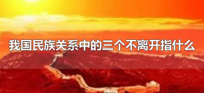 ​我国民族关系中的三个不离开指什么（我国民族关系的三个离不开是指）