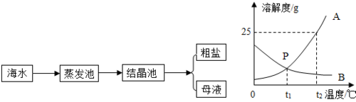 海水中粗盐的提纯流程图及方程式