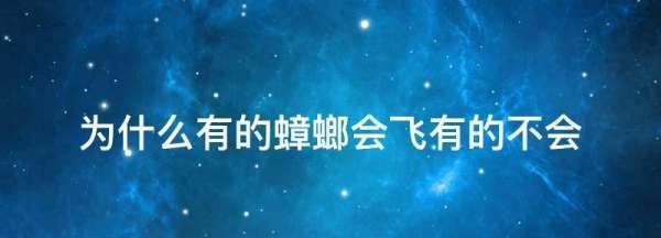 为什么有的蟑螂会飞有的不会,为什么有的蟑螂会飞有的不会飞图1