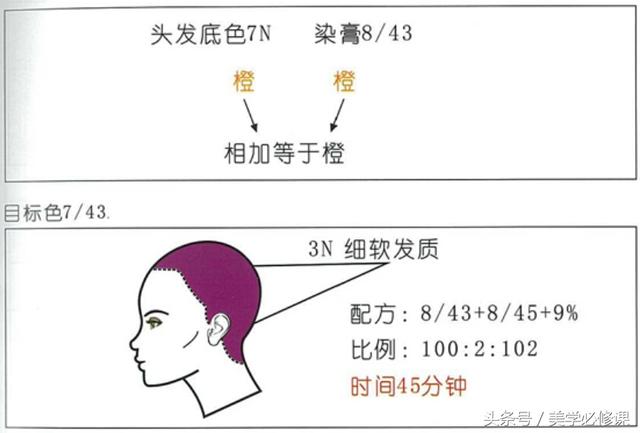 美发普通色染发技巧（染发必修课发廊常见）(3)