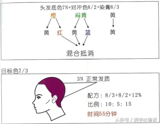 美发普通色染发技巧（染发必修课发廊常见）(5)