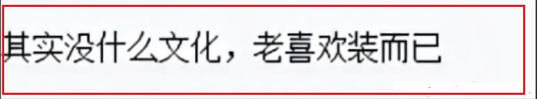 成语猜字的方法（成语乱用字不会写）(47)