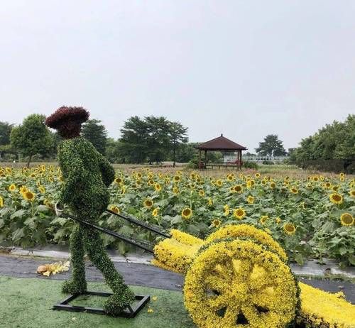 惠州旅游年卡划算吗