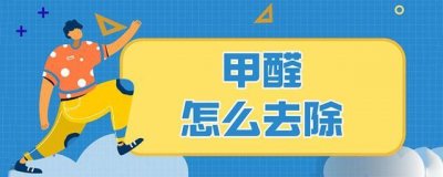 ​正确的家庭去除甲醛的办法有哪些（教你5种方法快速去除醛）