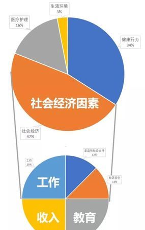 社会环境认知包括哪些