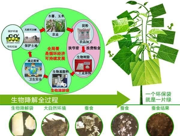 白色污染的危害，你知道什么是“白色污染”吗？它对人体以及生物界会造成什么危害？图5