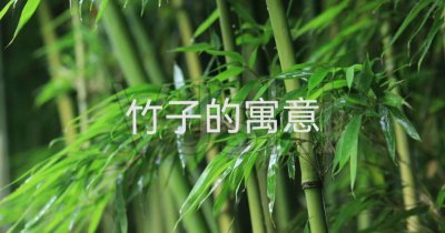 ​竹子寓意（竹子寓意有哪些）