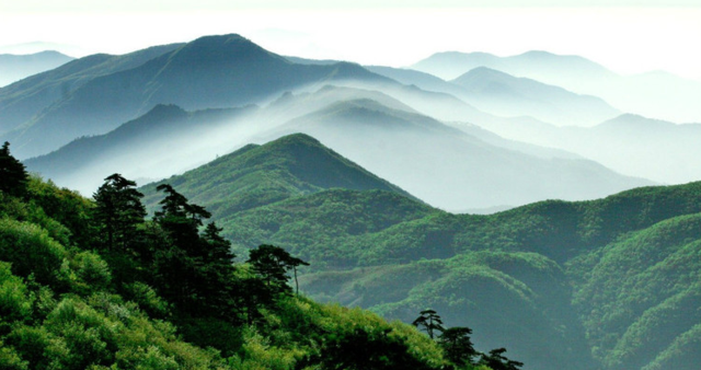 天目山在哪