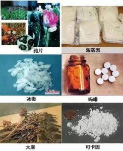 ​合成毒品直接作用于人的什么（合成毒品直接作用于人的什么部位）