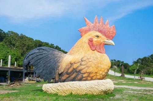 放鸡岛旅游攻略图片(广州放鸡岛旅游攻略)-第1张图片-