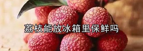 荔枝需要放冰箱保存吗