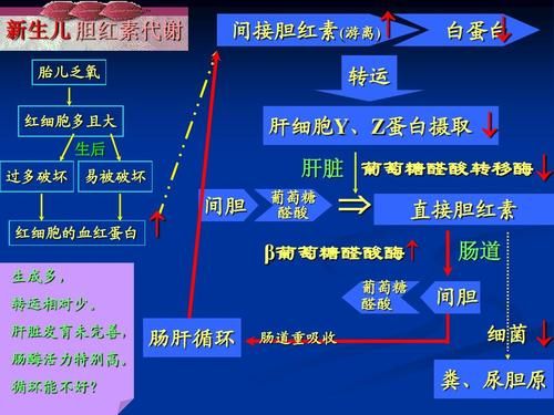 闂存帴鑳嗙孩绱犲亸楂樿鏄庝粈涔堥棶棰?闂存帴鑳嗙孩绱犲亸楂樼殑鍘熷洜鍙婂嵄瀹?-绗?寮犲浘鐗?