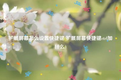 ​扩展屏幕怎么设置快捷键(扩展屏幕快捷键ctrl加什么)