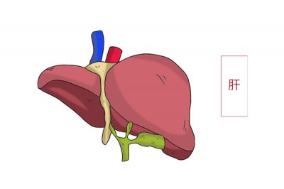 ​瓜子吃多了有什么坏处（经常吃瓜子会伤肝吗？瓜子到底能不能吃？提醒2种瓜子