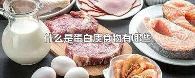 ​什么是蛋白质食物的热量 啥叫蛋白质食物