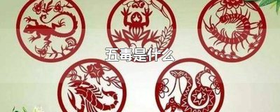 ​五毒是什么动物生肖 动物五毒是哪五毒