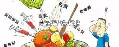 ​什么叫食品污染?分几类? 食品污染物一般包括哪些