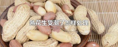 ​熟花生受潮了怎么办还能吃吗 熟花生回潮了怎么办