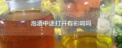 ​水果泡酒中途打开有影响吗 泡果酒中途能打开吗