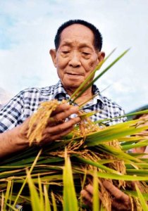 ​袁隆平(习近平说，“袁隆平同志是一个楷模”)