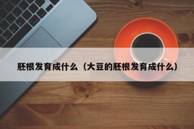 ​胚根发育成什么（大豆的胚根发育成什么）