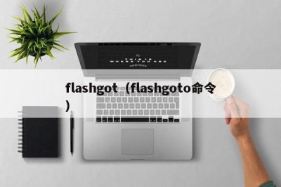 ​flashgot（flashgoto命令）