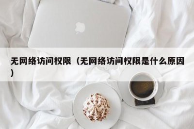 ​无网络访问权限（无网络访问权限是什么原因）