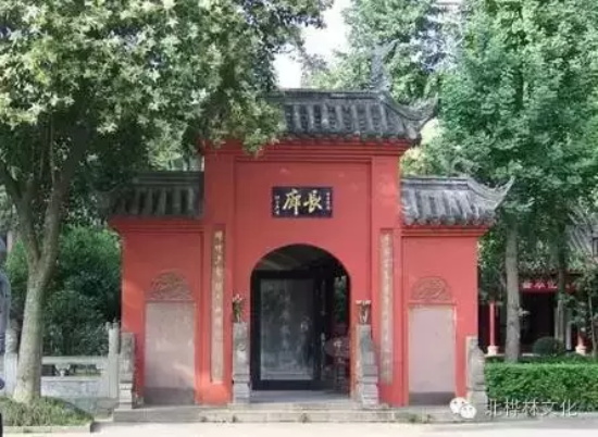 南怀瑾舍利子在哪里（南怀瑾舍利子供奉在文殊院）