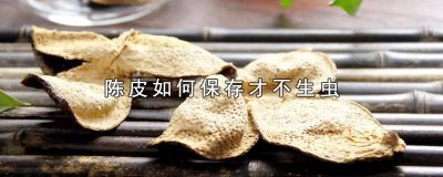 ​存放陈皮用什么药防虫子 陈皮能防虫吗