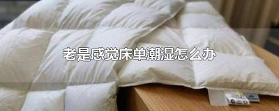 ​感觉床很潮湿怎么办 床上特别潮湿怎么办