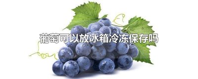 ​葡萄可以冻在冰箱里吗 葡萄能在冰箱里冷冻吗