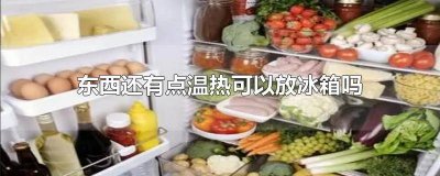 ​还温热的东西可以放冰箱吗 东西还温热能放冰箱吗?