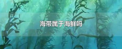 ​海带属海鲜吗? 海带是不是属于海鲜?