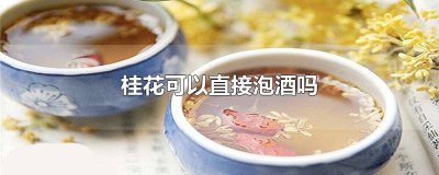 ​桂花可以直接泡酒吗 桂花可以直接泡酒吗怎么泡