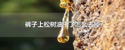 ​怎样才能去掉裤子上的松油 裤子上有树油怎么去掉