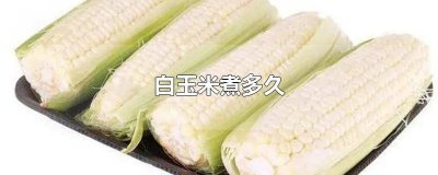 ​白玉米煮多久