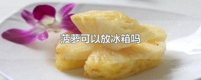 ​菠萝可以放冰箱吗,菠萝怎么存放不会坏 菠萝能不能放冰箱保鲜