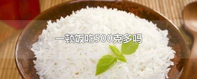 ​一顿吃500克米饭多不多呢 一顿饭吃500克米饭多吗