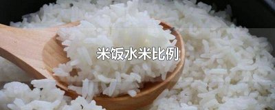 ​一个人米饭水米比例 九阳电饭煲蒸米饭水米比例