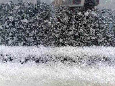 ​多图为证，湖南真的下雪了！一点“头皮屑”给湖南人激动坏了