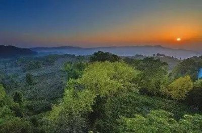 ​节后错峰游，就来苍溪吧~