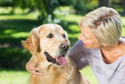 ​边境牧羊犬记仇吗？边境牧羊犬会不会保护主人