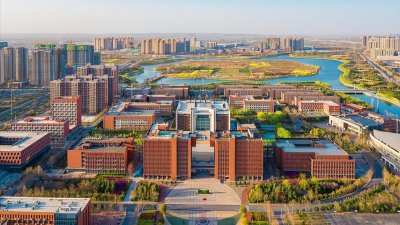 ​郑州大学艺术专业各省分数线：省内联考230分考生，文化需460+