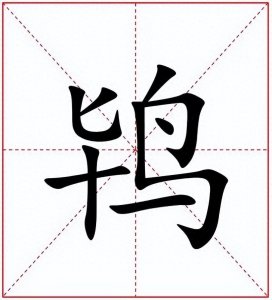 ​＂鸨＂字怎么读，它是什么意思，＂老鸨＂这是一个误解了千年的词